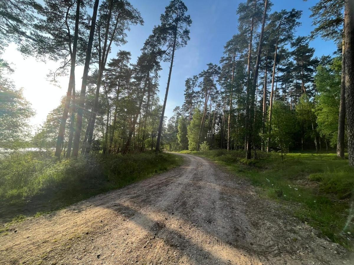 Domek Letniskowy Nad Jeziorem, Las, Mazury Wiartel Maly Dış mekan fotoğraf