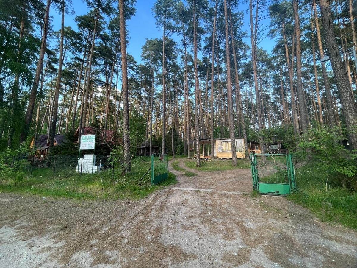 Domek Letniskowy Nad Jeziorem, Las, Mazury Wiartel Maly Dış mekan fotoğraf